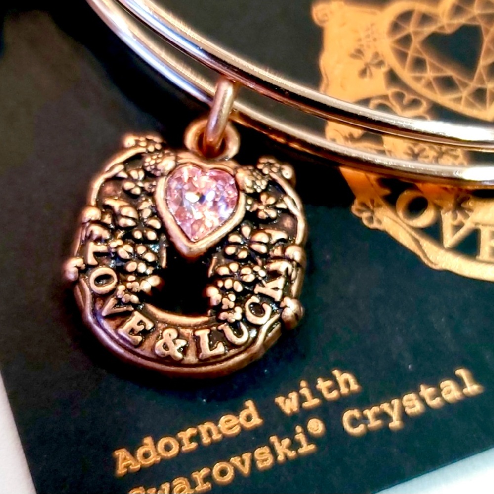 Alex and Ani Bangle Bracelet Fortune’s Favor Love Luck Serendipity NIB